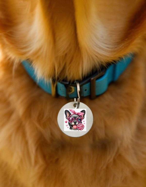Pet Tags