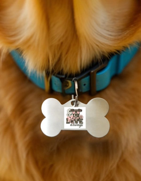 Pet Tags